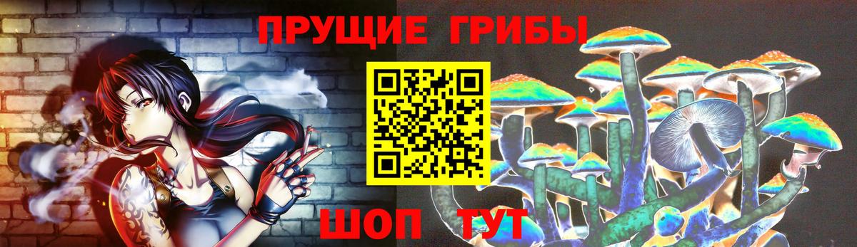 Орск  как найти   Вход с VPN  Псилоцибиновые грибы мицелий 